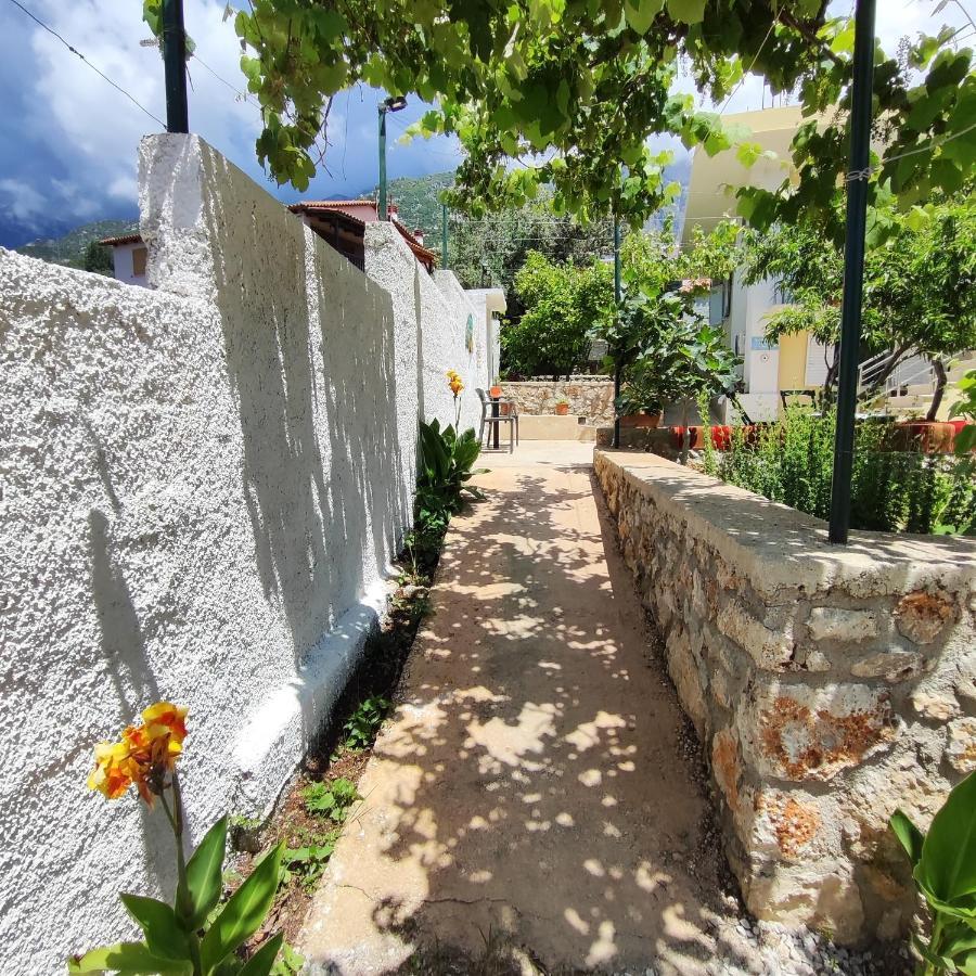 Siempre Viva Dhermi Dhërmi Exterior foto